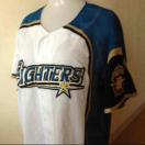 Vi n ֓C jtH[@{nt@C^[Y