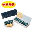 �y9���z�������l �z���C�g �������� �k�C���y�Y ISHIYA�i�Ή����فj