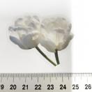 ���X�g��`���[���b�v�̃R���[�W���V�[���@380