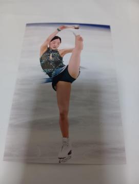 �t�B�M���A�X�P�[�g �{�c�^� �ʐ^