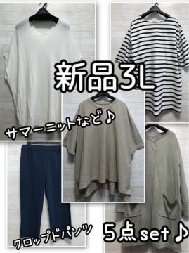 �V�i��3L����l�J�W���A����T�}�[�j�b�g�E�N���b�v�h�p���c�E�}������Q709