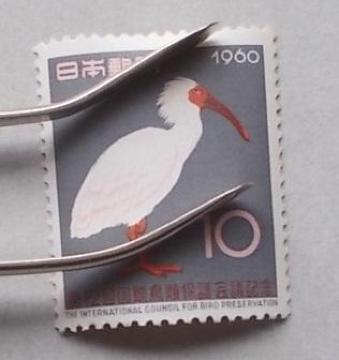 �y���g�p�z1960�N�@��12�񍑍ے��ޕی��c�L�O�@�P��