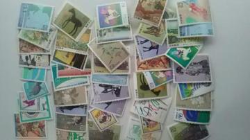62~؎45Vigpi  6245[R1