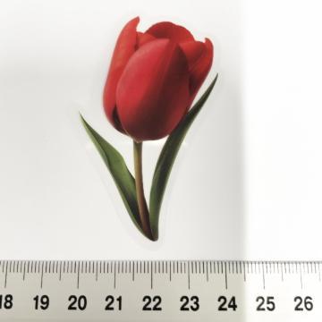 ׽ā����د�߂̺װ�ޭ��ف@404