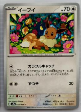 �|�P�����J�[�h�@�i�C�g�����_���[�@�C�[�u�C