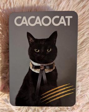 CACAO CATLfUCʁiʂ̂݁j