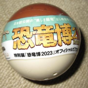 JʓWu2023vItBVJvZtBMAiY[EN@X^gj