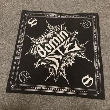  stray kids domin o_i ubN