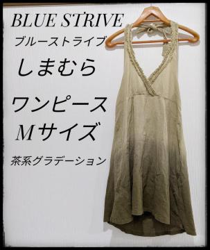 BLUE STRIVEu[XgCu܂ނ灚s[XL~\[nOf[VMTCY
