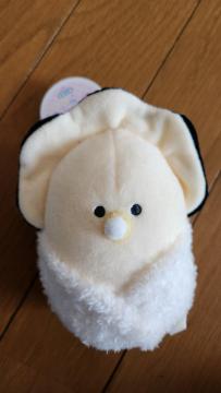 つぶらな瞳のなまがき☆マスコット(・      ∀      ・)