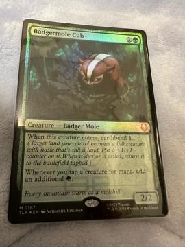 MTG FOIL �A�i�O�}���O���̎e