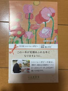 �R�c�{�I�� �V���[���[�|�s�[ �Ԃ̎� ���ӁE�v����� �G����p�b�P�[�W