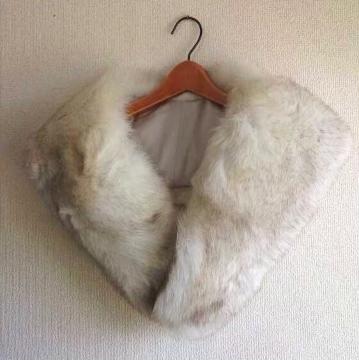 SAGA FOX/ٰ̫فl**!!