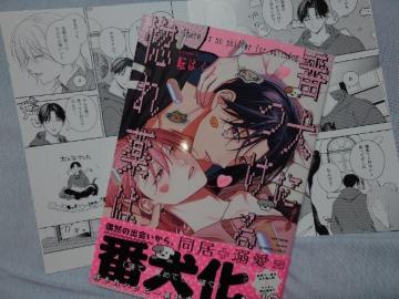 BLAjCgqtyԌɂ鍛́z]͂