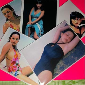 �������� ���T�i������ ��́jA�S�T�C�Y�T���{���@�N���A�|�P�b�g����