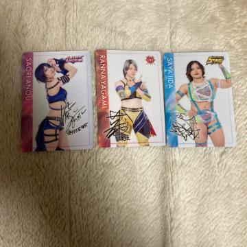 ���q�v�����X�g���[�f�B���O�J�[�h 3���Z�b�g ���[�T�I�� ���_���ށ@�ѓc����