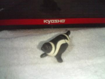 ���  ���{�̓���1    �@�@�@              �׶����׼