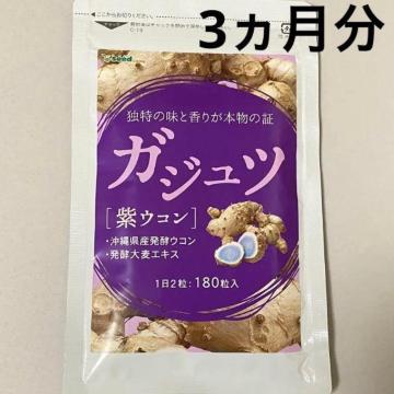 ガジュツ 紫ウコンサプリメント約3ヵ月分 美容 健康 ダイエット お酒