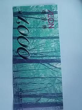 CI1000~iVi
