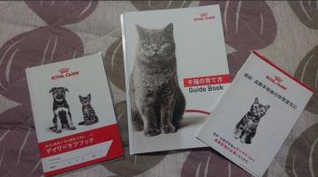 gp CJi fC[PAubN 蒠 qL̈ĕKChubN mxeB[ 3Zbg