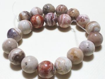 �V�R�΁����L�V�R�A�Q�[�g�@���E���h�P�O�����@���A