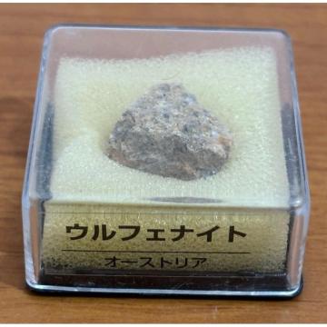 yzfBASXeB[j gW[Xg[ EtFiCg ẑ qȂ