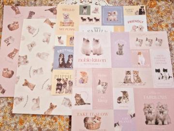 �����������L�ƌ����f�U�C���y�[�p�[4����