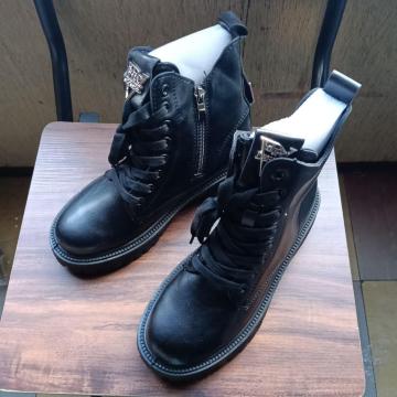 Vi 22cm fB[X u[c ubN  V[Y TChSA