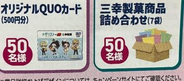 QUO�J�[�h500�~/���َq�l�ߍ��킹/100���l3��