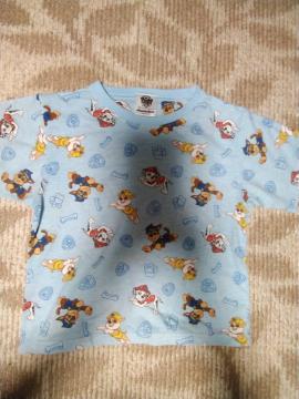 �q����  �p�E�p�g���[��  ����T�V���c  110cm