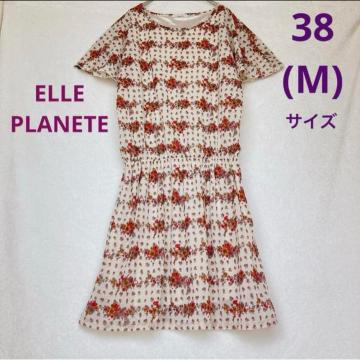 ELLE PLANETE ԕ Ђ g s[X [EGXgS M N2m