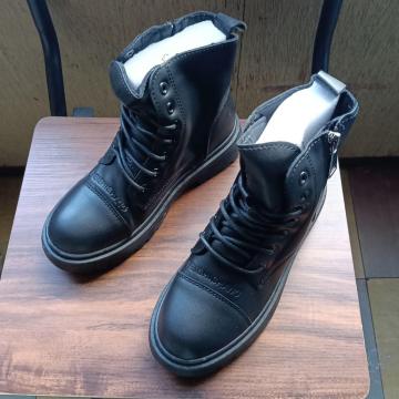 Vi 22.5cm fB[X u[c ubN  V[Y TChSA