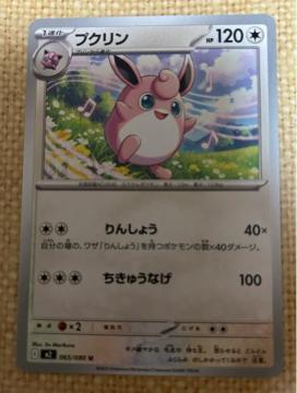 �|�P�����J�[�h�@�v�N����