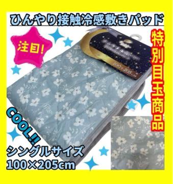 ���ʖڋʏ��i���ڐG�⊴�Ђ���~�p�b�h���V���O���T�C�Y��100�~205cm