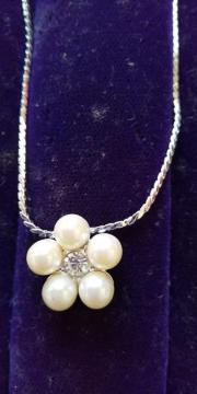 �p�[���l�b�N���X