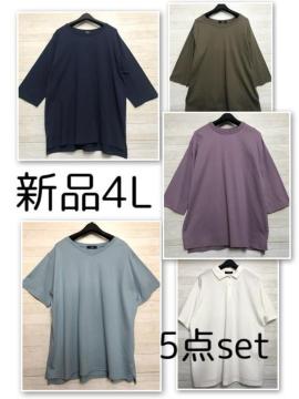 �V�i��4L��7����T�V���c�Ȃ�5���܂Ƃ߂ā�V���v�����n��|���V���c��Q993