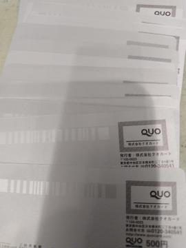 �N�I�J�[�h500�~20���P���~���Z�b�g