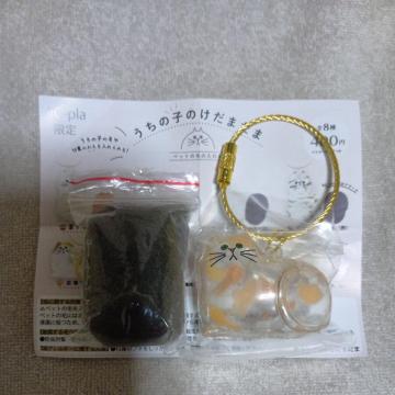 ̎q̂܂ Tr˂ K` JvZgC Ki