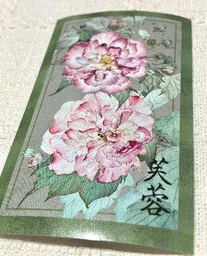 �V�[��1��