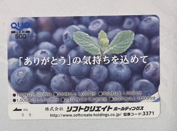 ���N�I�J�[�h500�~���|�C���g�����Ɂ�1