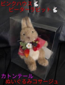 PINK HOUSE/�s���N�n�E�X/�s�[�^�[���r�b�g//�J�g���e�[��/�ʂ������/�ʂ�����݃o�b�a/�R�T�[�W��/ �ʂ�����݃o�b�W