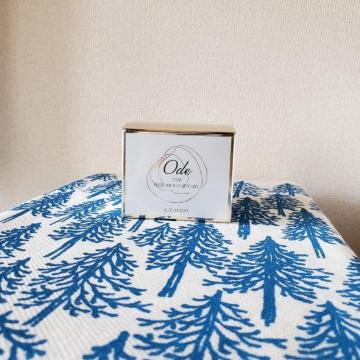 Ode@I[fB@ESMsACXgXsN@WFIC@30JvZ@̒ӂ牐̂锧