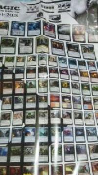 MTG { 2015 `߽ ϼޯ޷ެݸ