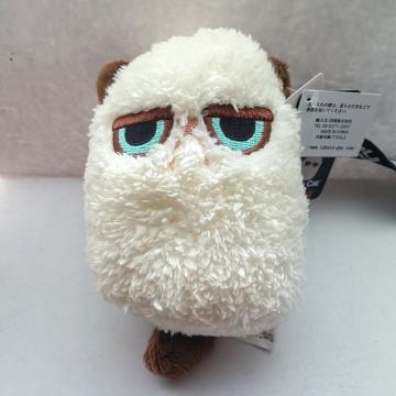 Xgbv@Os[Lbg Grumpy Cat yGUND Khz s@ȔL lR  ʂ  L[z_[