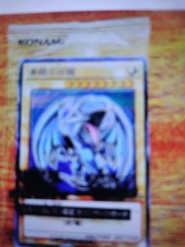 �V�Y���f���G�������X�^�[�Y