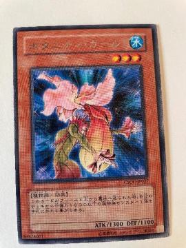 遊戯王【水・ボタニティガール】