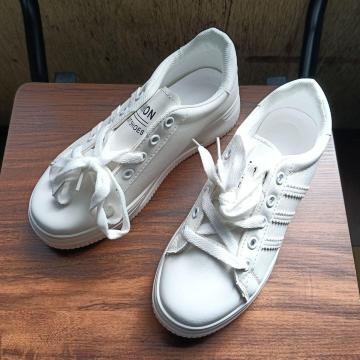 Vi 23cm fB[X Xj[J[ zCg V[Y C JWA