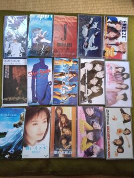 CDS ܂Ƃ߂