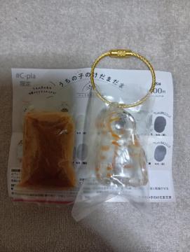 ̎q̂܂ g K` JvZgCKi