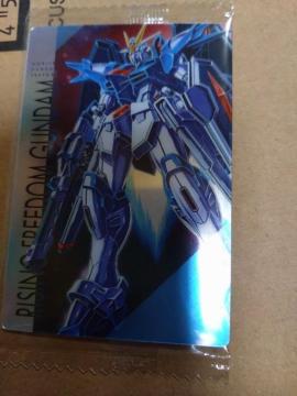 �V�[�h�t���[�_���J�[�h�@���C�t��